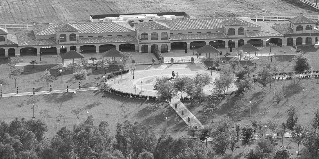 Porque lo llaman amor cuando quieren decir sexo7