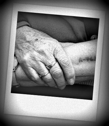 16804pre_028cd6ee3ade901