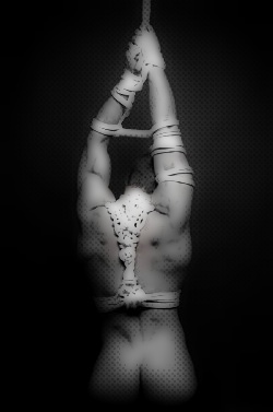 e76e5a537b690594159f75ad8219ba8e