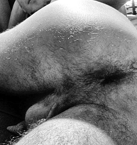 culos_peludos_gayviral-2