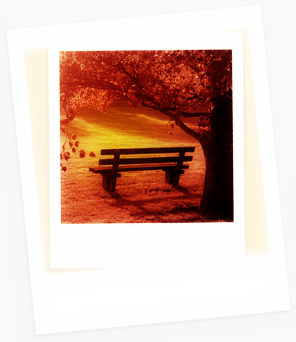 foto-banco-parque-124