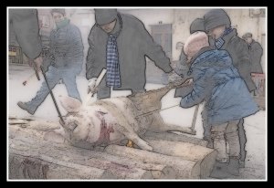 ninos-matanza-del-cerdo