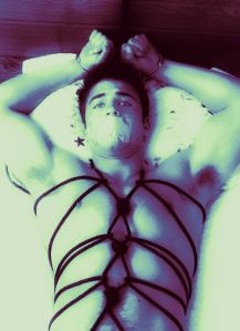 3bec8b818bbd5858d70259a626161329