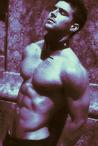 93b750bd4f3dedae9523dd126168ce8a