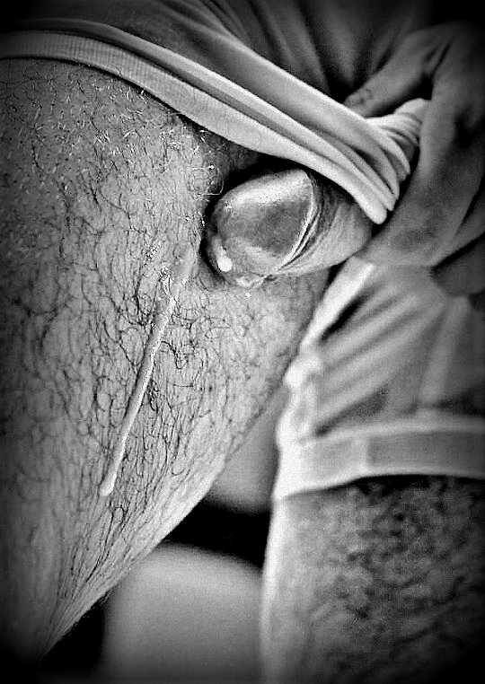 035b2377a93d1d5a8bf5ea10b81011c01