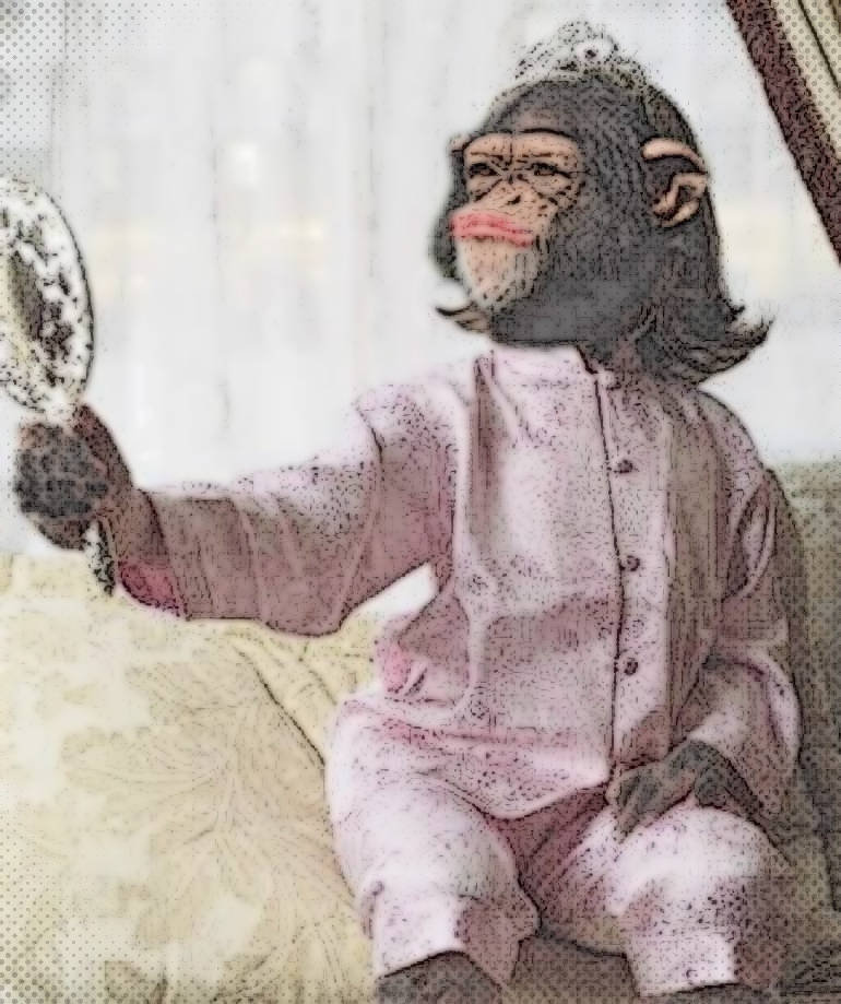 1367864358_034142_1476871114_noticia_normal